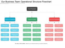Our business team operational structure flowchart