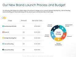 Our new brand launch process and budget audit ppt powerpoint presentation ideas design inspiration