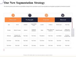 Our new segmentation strategy marketing and business development action plan ppt summary