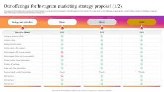 Our Offerings For Instagram Marketing Strategy Proposal Ppt Icon Design Inspiration