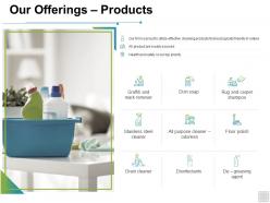 Our Offerings Products Icons Ppt Powerpoint Presentation Pictures Diagrams