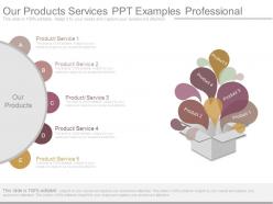 Our products services ppt examples professional