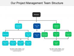 Our project management team structure