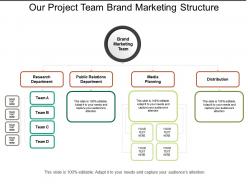Our project team brand marketing structure