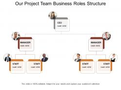 Our project team business roles structure