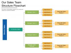 Our sales team structure flowchart