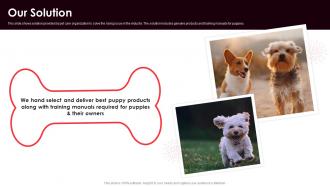 Our Solution Dog Care Organization Investor Funding Elevator Pitch Deck