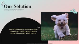 Our Solution Dog Food And Accessories Company Investor Funding Elevator Pitch Deck