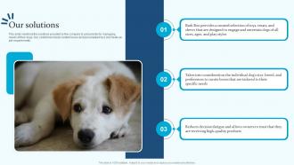 Our Solutions Bark Box Investor Funding Elevator Pitch Deck