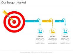 Our target market startup company strategy ppt powerpoint presentation icon tips