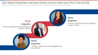 Our Team Overview Aerated Drinks Industry Elevator Pitch Deck Designation