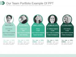 Our team portfolio example of ppt