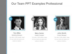 Our team ppt examples professional