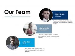 Our team ppt infographic template design templates