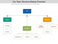 Our team structure startup flowchart