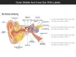 Outer middle and inner ear with labels