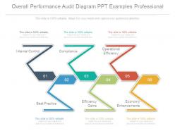Overall performance audit diagram ppt examples professional