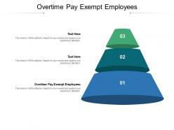 Overtime pay exempt employees ppt powerpoint presentation slides images cpb