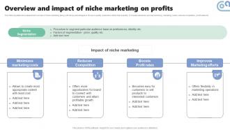 Overview And Impact Of Niche Marketing Micromarketing Strategies For Personalized MKT SS V