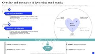 Overview And Importance Of Developing Brand Market And Launch Strategy MKT SS V