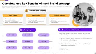 Overview And Key Benefits Of Multi Brand Extension Strategy To Diversify Business Revenue MKT SS V