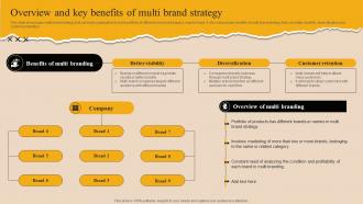 Overview And Key Benefits Of Multi Brand Strategy Market Branding Strategy For New Product Launch Mky SS