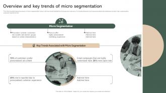 Overview And Key Trends Of Micro Segmentation Effective Micromarketing Guide