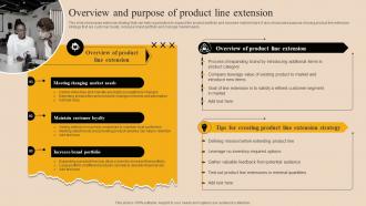 Overview And Purpose Of Product Line Extension Market Branding Strategy For New Product Launch Mky SS