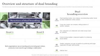 Overview And Structure Of Dual Branding Formulating Dual Branding Campaign For Brand