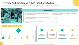 Overview And Structure Of Hybrid Brand Architecture Brand Architecture Strategy For Multiple