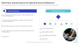 Overview And Structure Of Hybrid Brand Architecture Multiple Brands Launch Strategy In Target