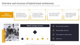 Overview And Structure Of Hybrid Brand Launch Multiple Brands To Capture Market Share