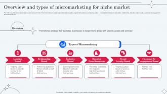 Overview And Types Of Micromarketing For Niche Implementing Micromarketing To Minimize MKT SS V