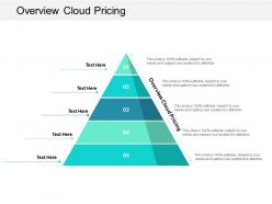 Overview cloud pricing ppt powerpoint presentation icon clipart cpb