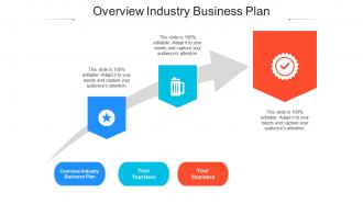 Overview industry business plan ppt powerpoint presentation portfolio brochure cpb