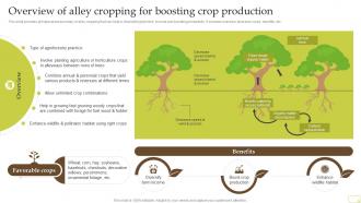 Overview Of Alley Cropping For Boosting Crop Production Complete Guide Of Sustainable Agriculture Practices