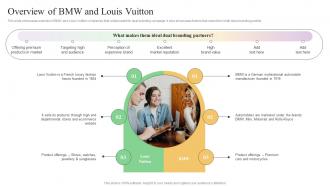 Overview Of Bmw And Louis Vuitton Multi Brand Marketing Campaign For Audience Engagement