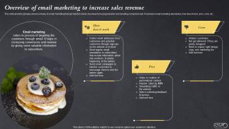 Overview Of Email Marketing To Increase Sales Revenue Efficient Bake Shop MKT SS V