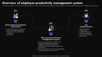 Overview Of Employee Productivity Strategies To Improve Employee Productivity