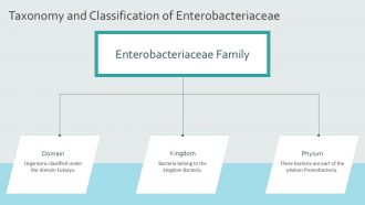 Overview Of Enterobacteriaceae Family PPT Information AT Ideas Adaptable