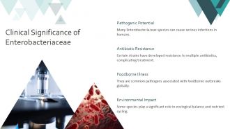 Overview Of Enterobacteriaceae Family PPT Information AT Unique Adaptable