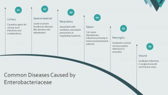 Overview Of Enterobacteriaceae Family PPT Information AT Content Ready Adaptable