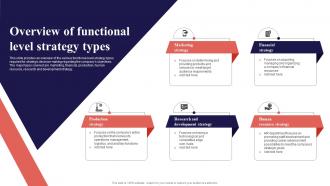 Overview Of Functional Level Strategy Types Organization Function Strategy SS V