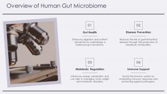 Overview Of Human Gut Microbiome PPT Presentation ACP