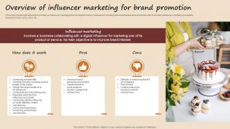 Overview Of Influencer Marketing For Brand Promotion Streamlined Advertising Plan