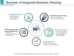 Overview of integrated business planning ppt examples professional