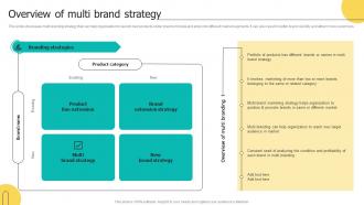 Overview Of Multi Brand Strategy Brand Architecture Strategy For Multiple Ppt Icons
