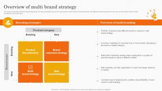 Overview Of Multi Brand Strategy Co Branding Strategy For Product Awareness