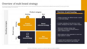 Overview Of Multi Brand Strategy Launch Multiple Brands To Capture Market Share