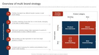 Overview Of Multi Brand Strategy Marketing Strategy To Promote Multiple